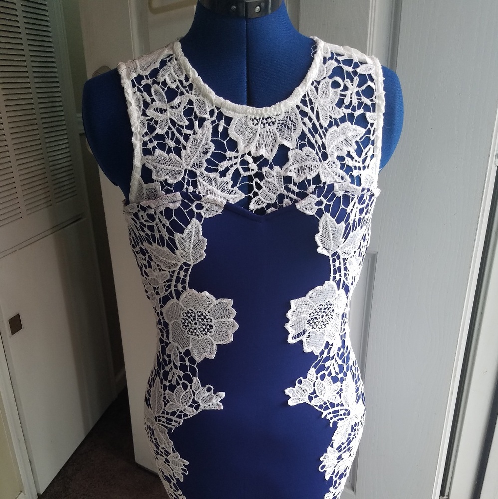 Venus Cobalt Blue w/White lace Overlay